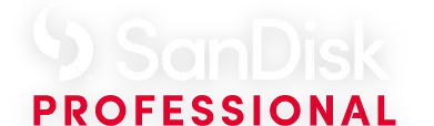 SanDisk Professional