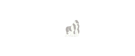 SILVERBACK LOGO