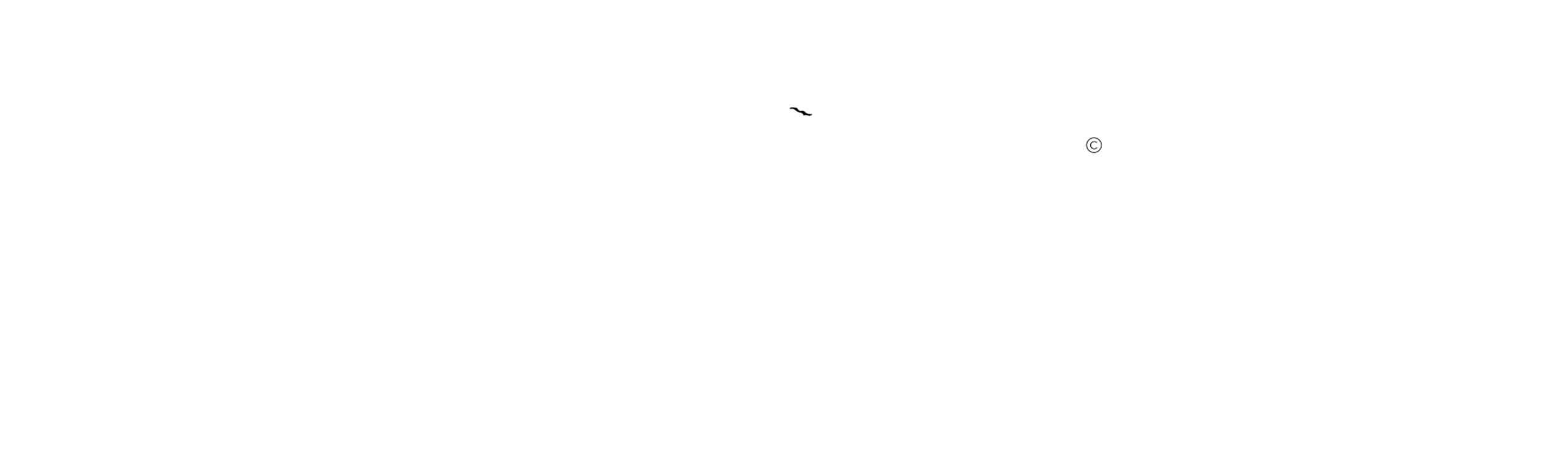 Universal_Music_Group_logowhite