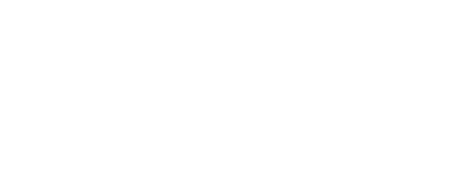 bornsocial logo