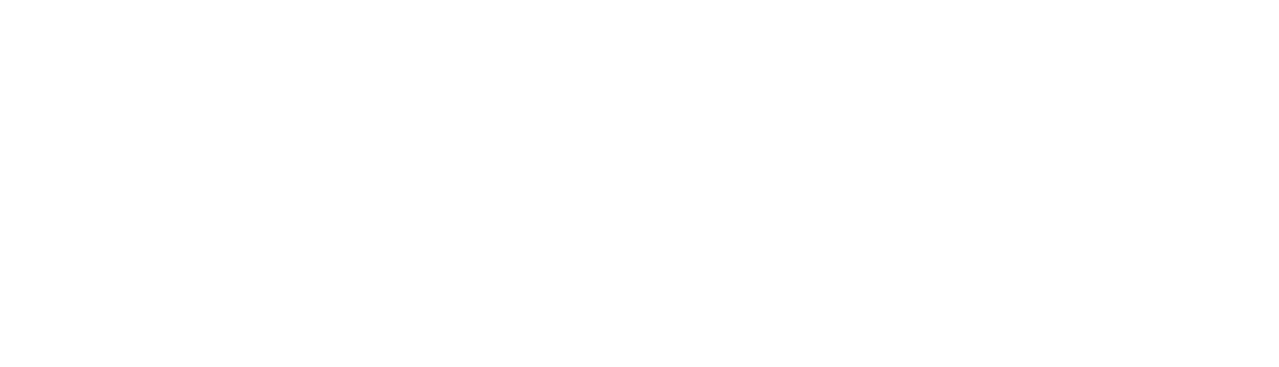netflixwhite